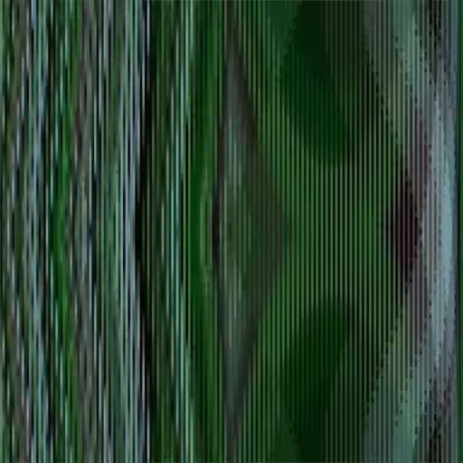 Sift #54