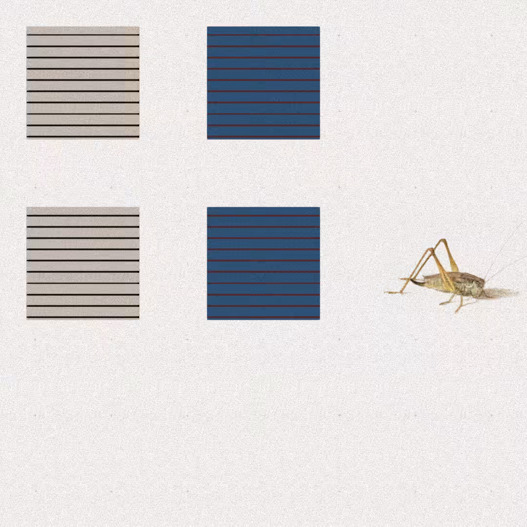 Grasshopper #32