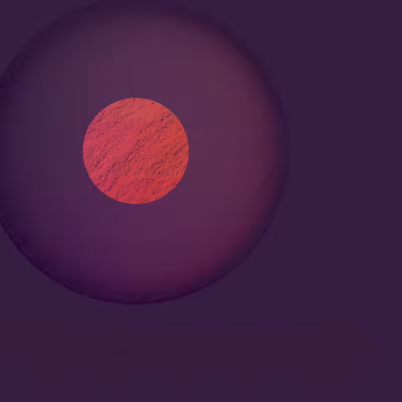 Orbit #172