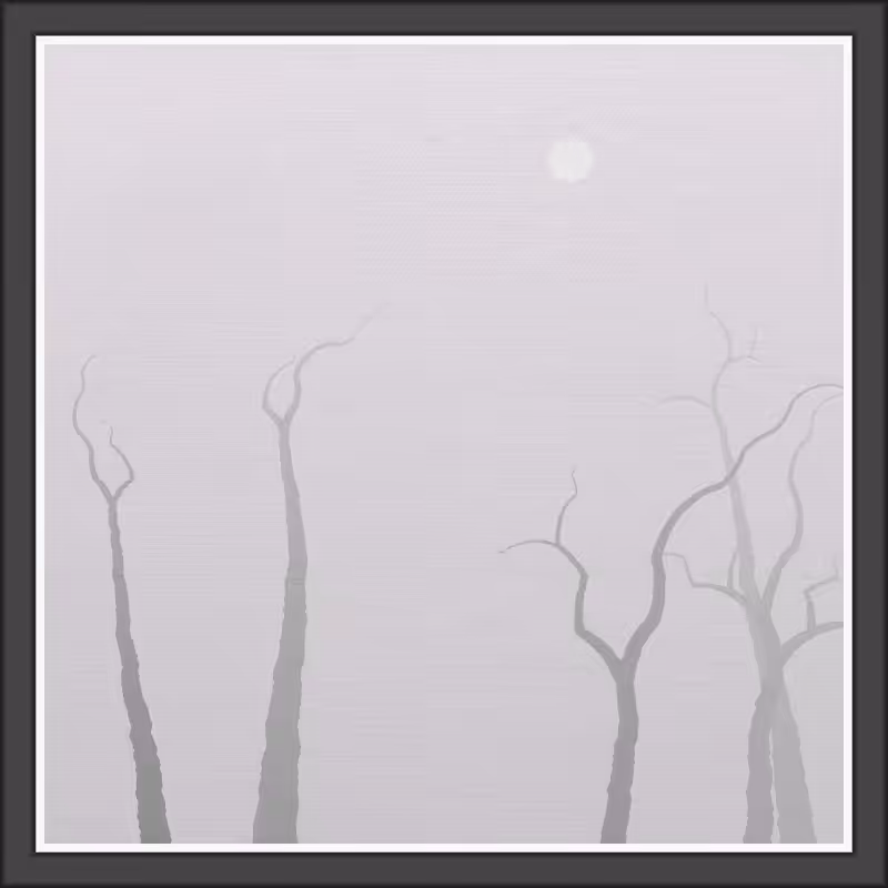 The Foggy Trees #5