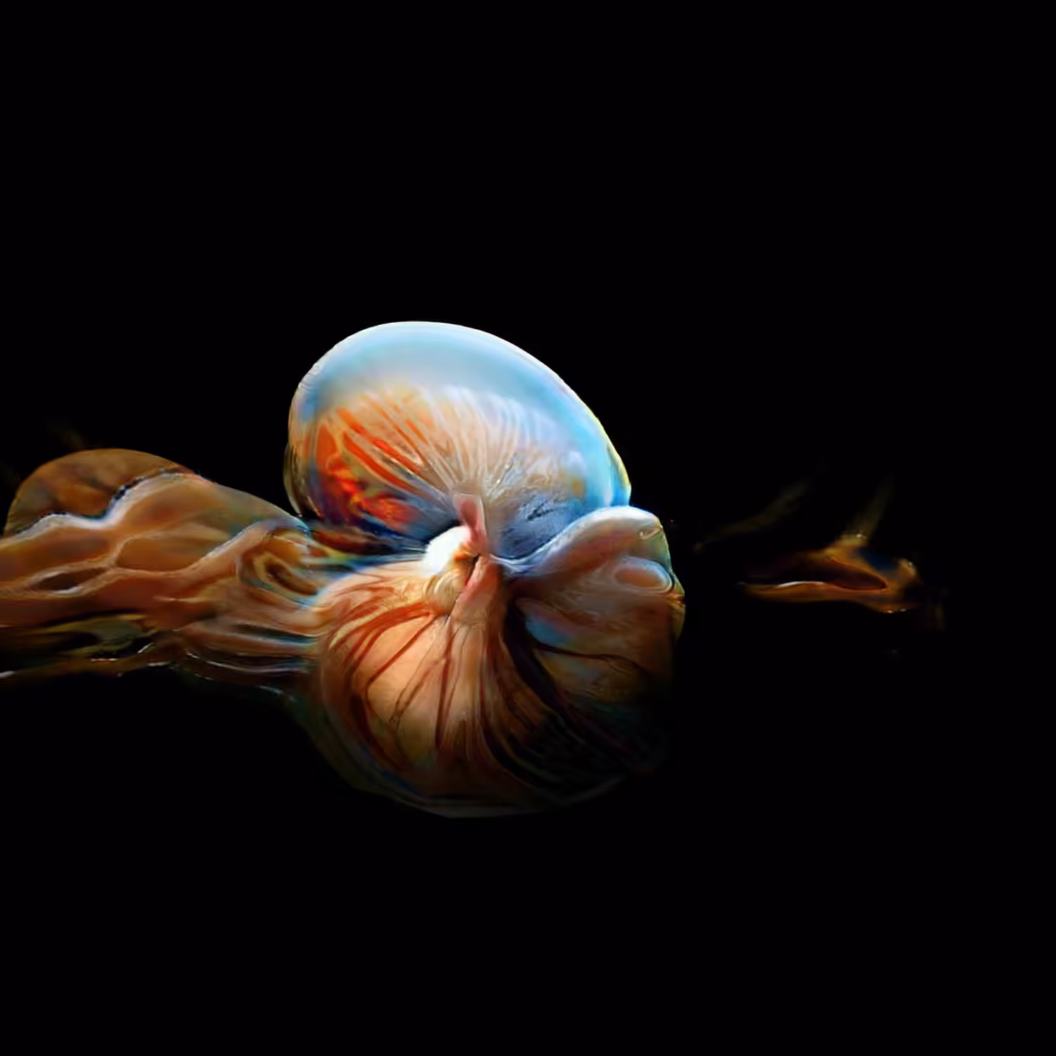 Mutating Embryo #11