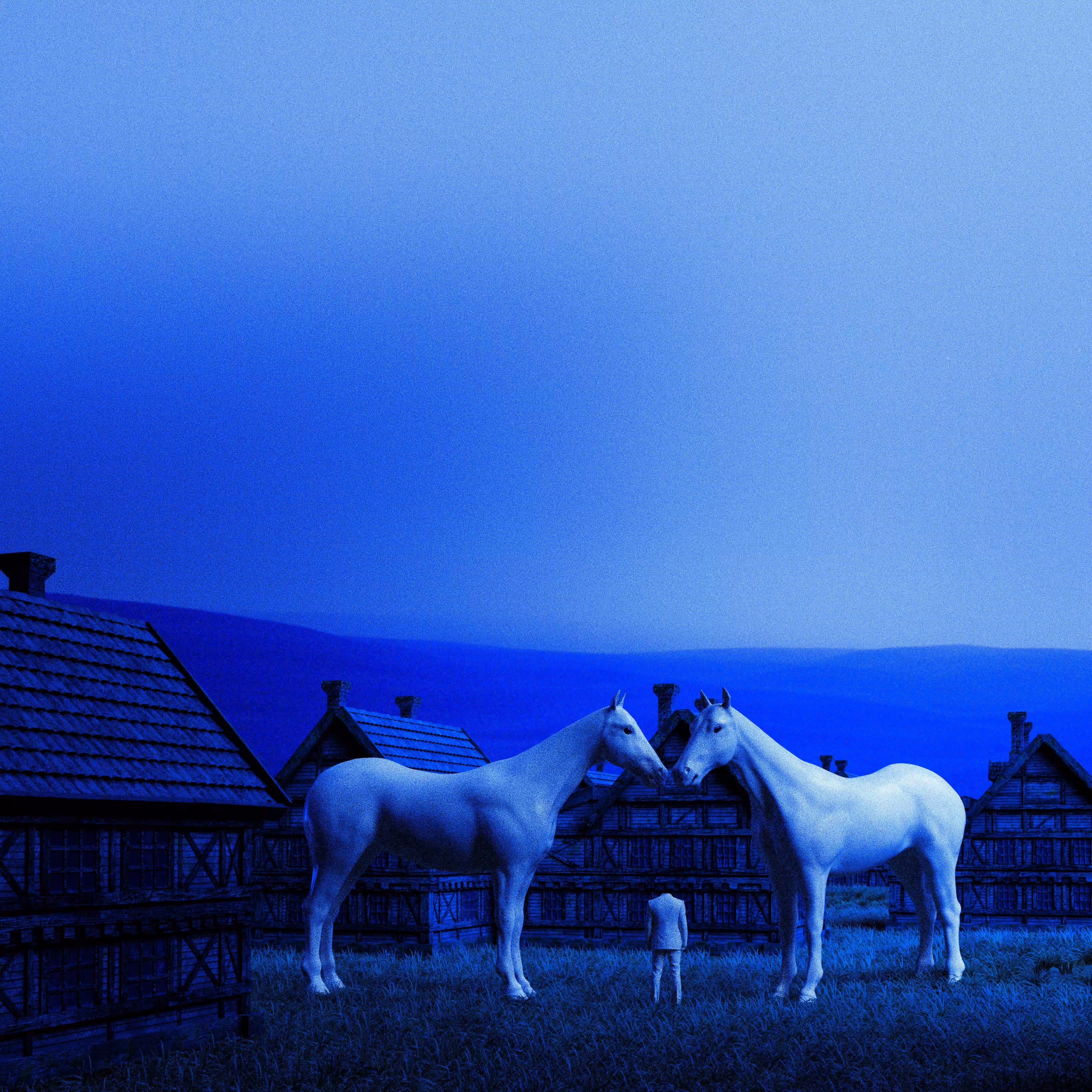 Horses and the dwarf