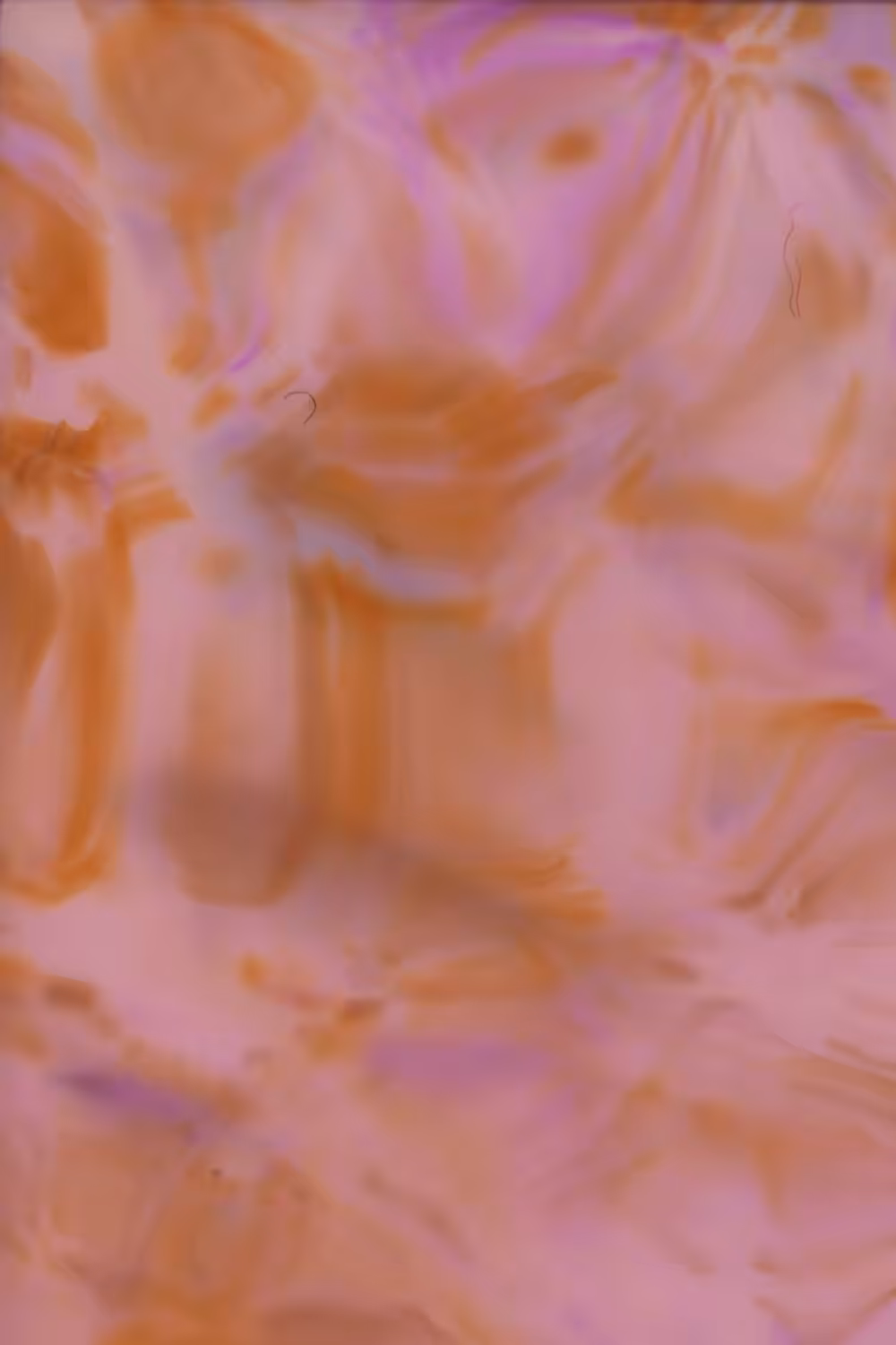 'tis the dream of a lavender