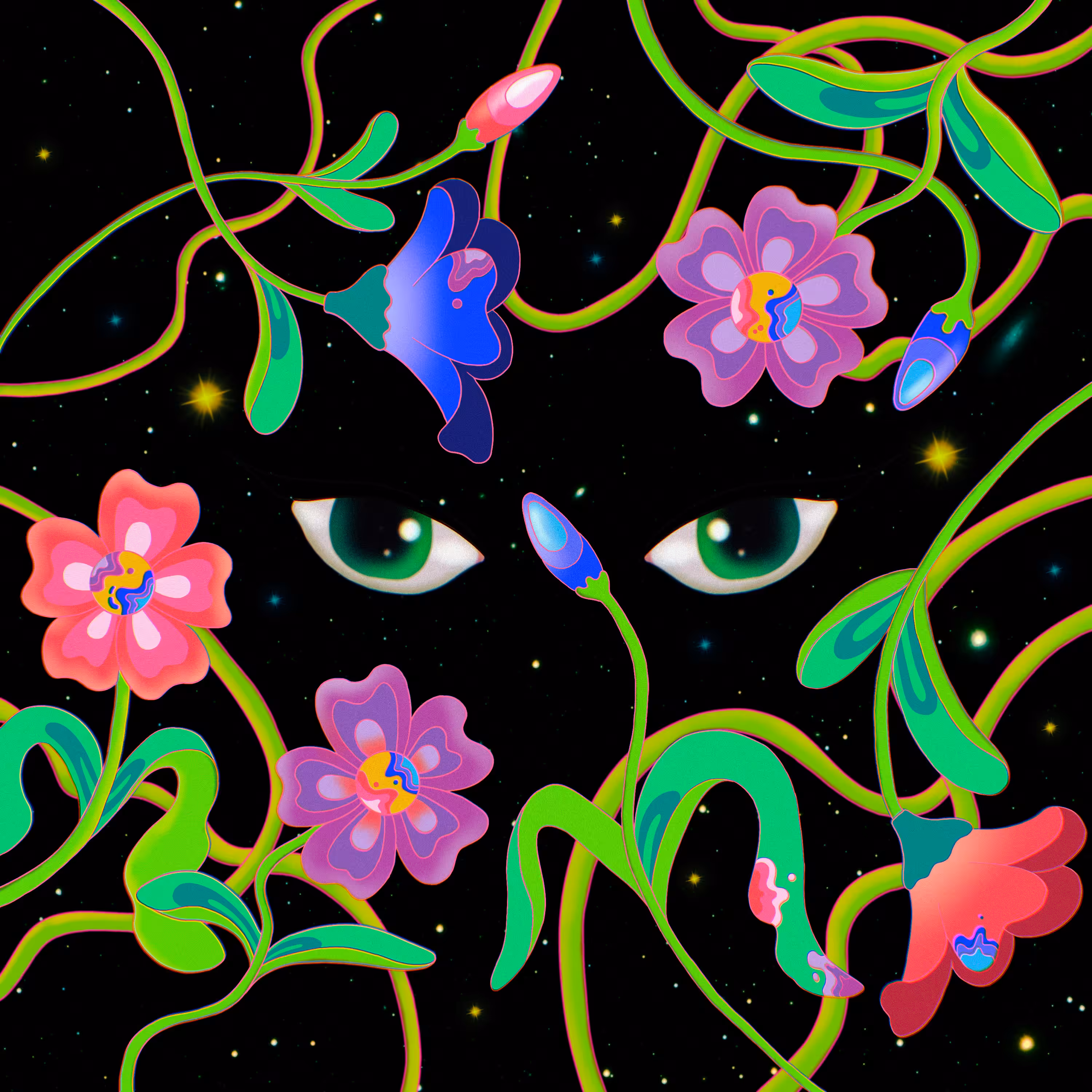 Seeking Vision