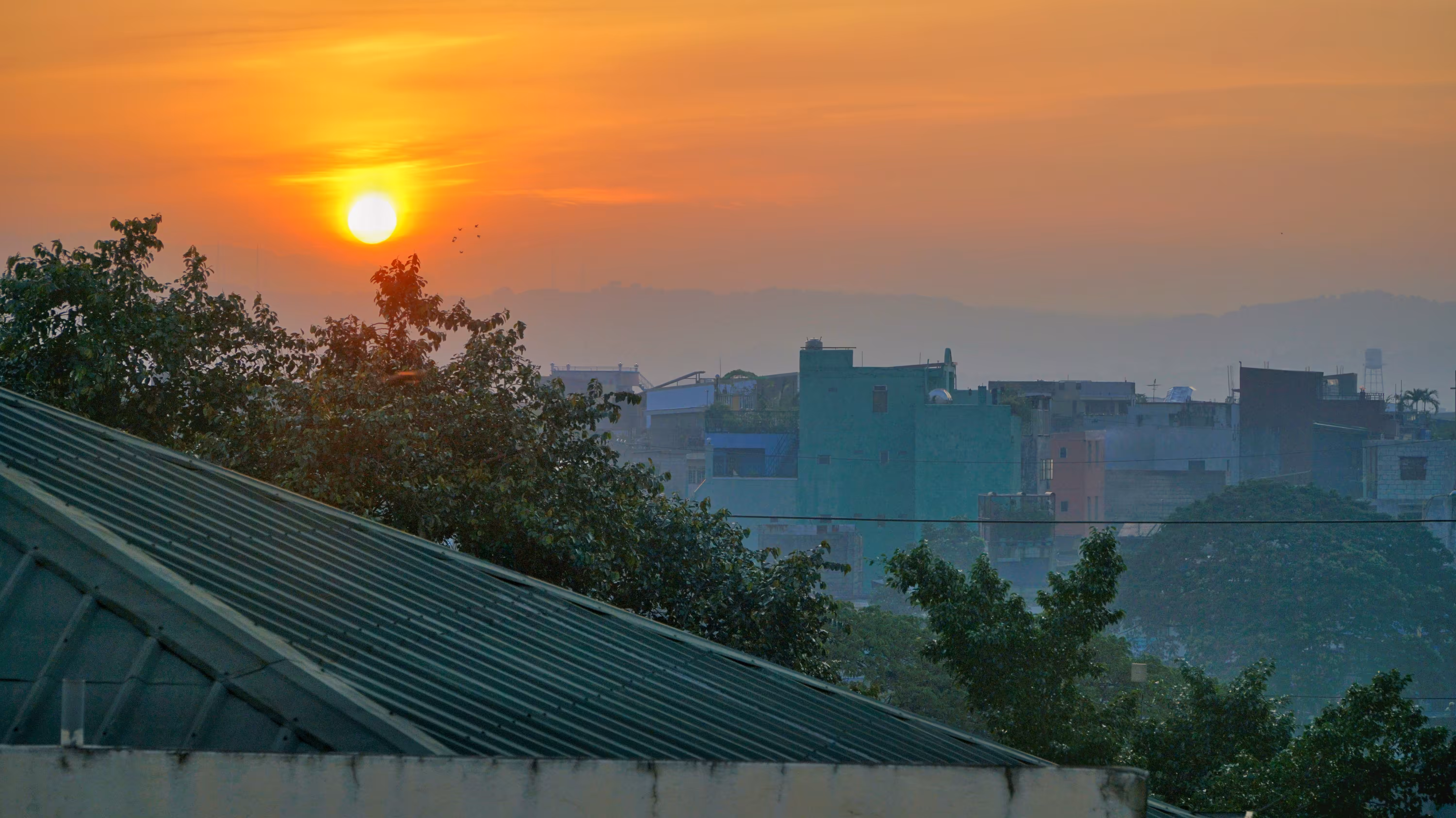 City Rise