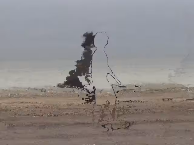 the loner 🚶‍♂️