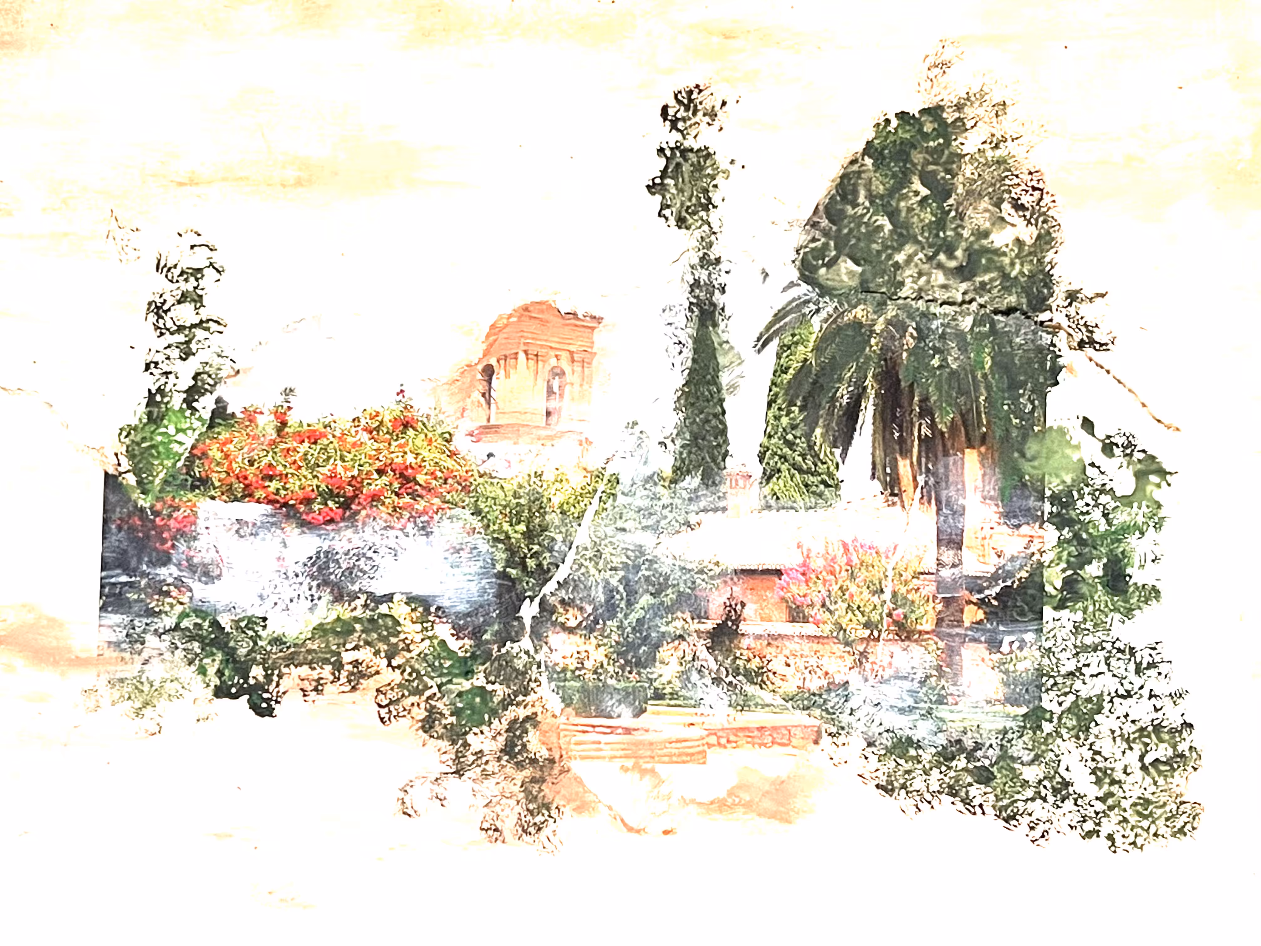 Letters to Paradise 01: Hello,I am 