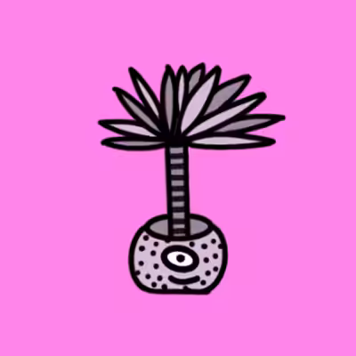 Shy Plant