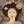 Pixelpoly #0019 - Gueisha