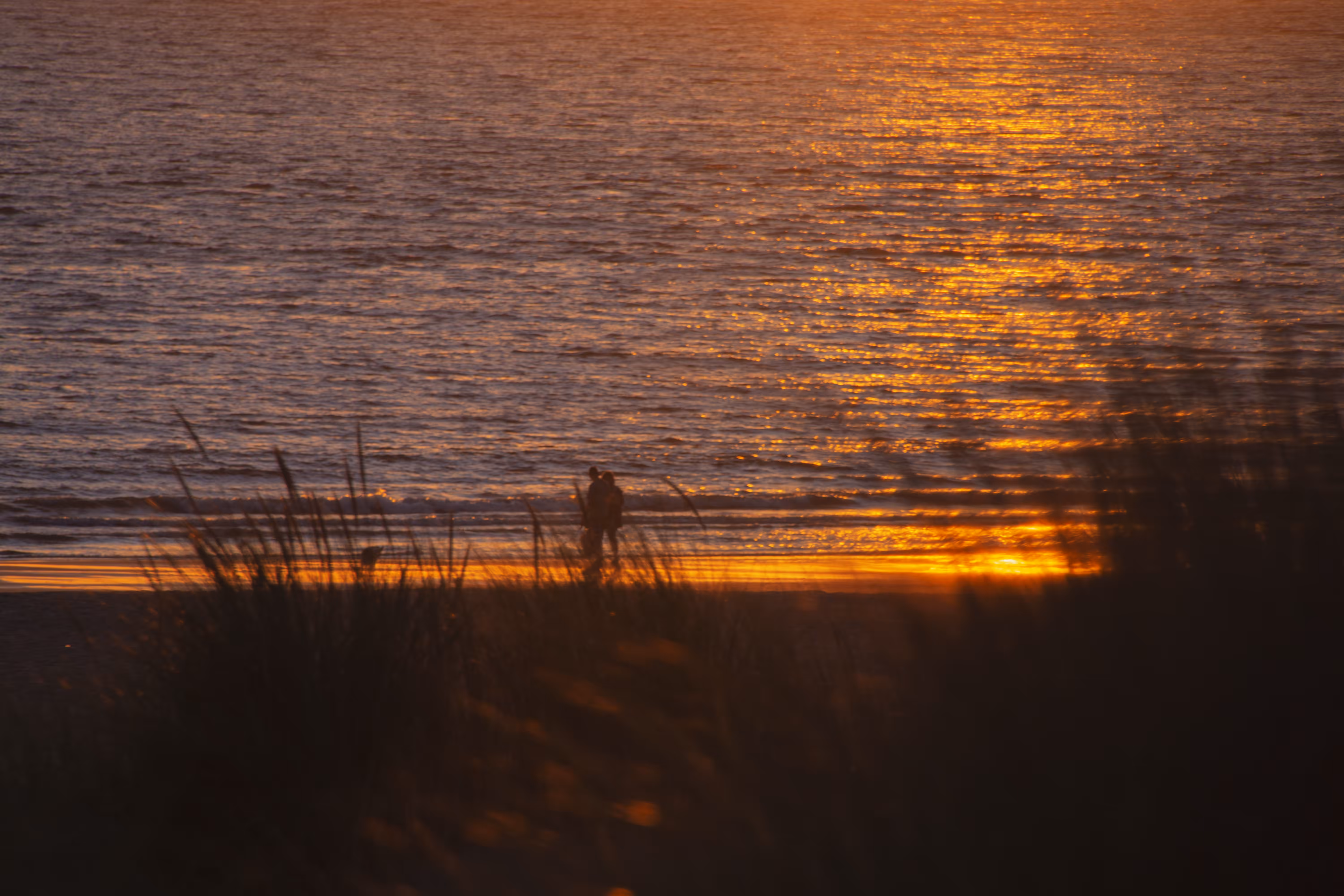 Sunset walk on the Beach
