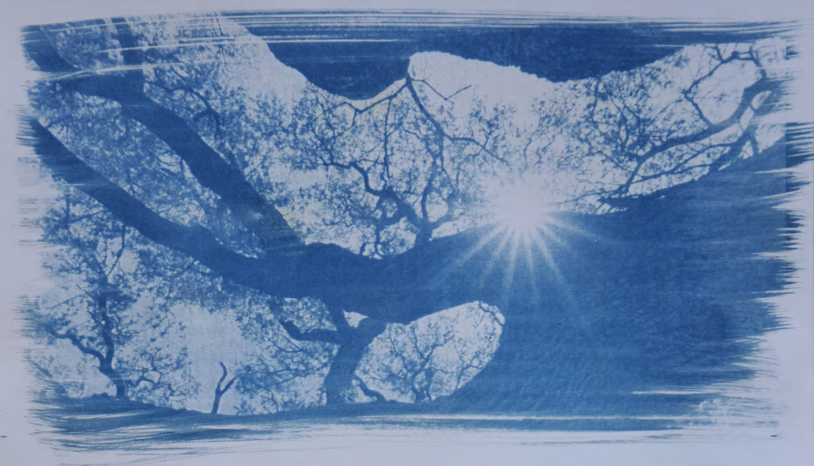 blue tree