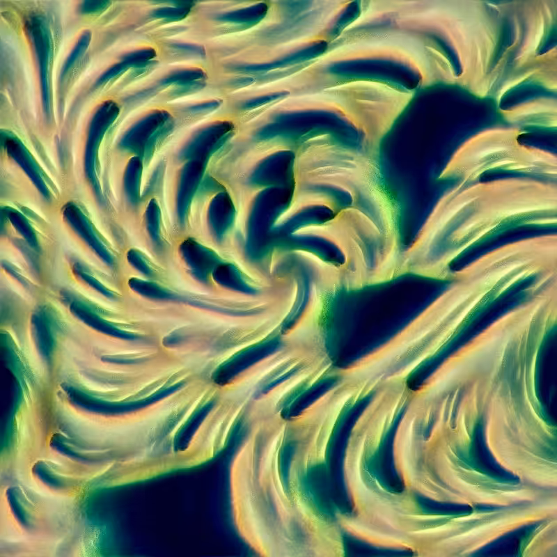 Genomes #1062