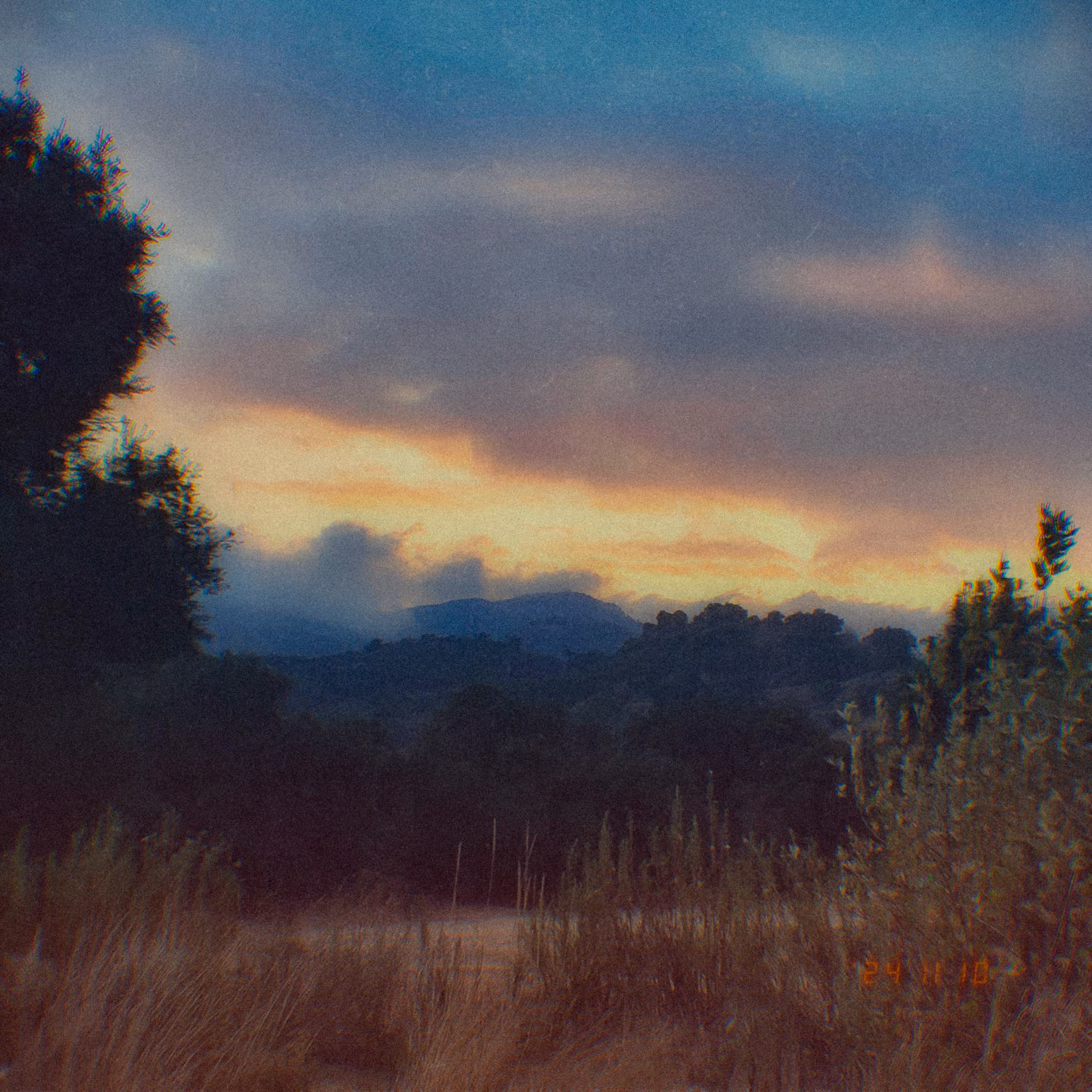 :a Visual Odyssey:: Day 315/365