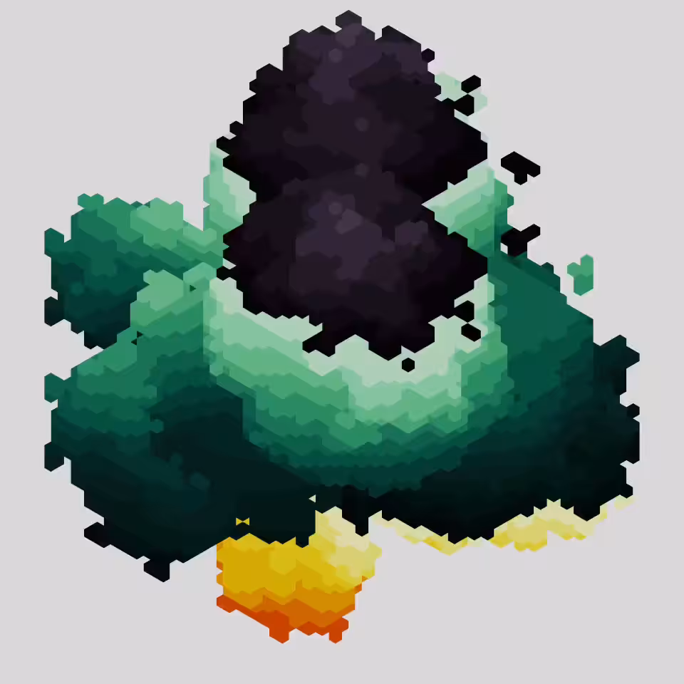 Voxel cloud