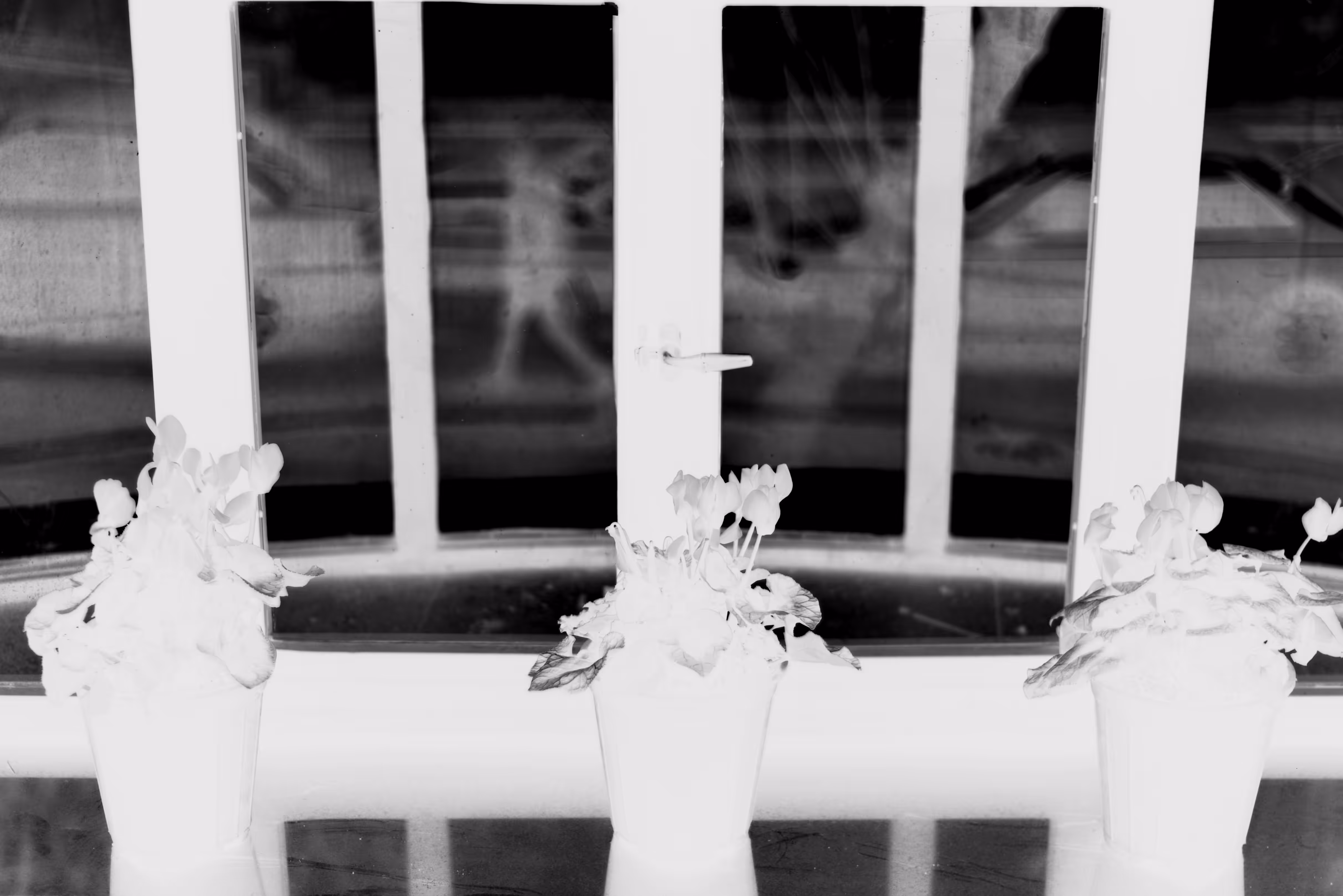 Shadow