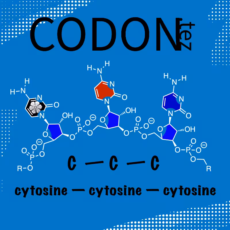 Codon Minter #16