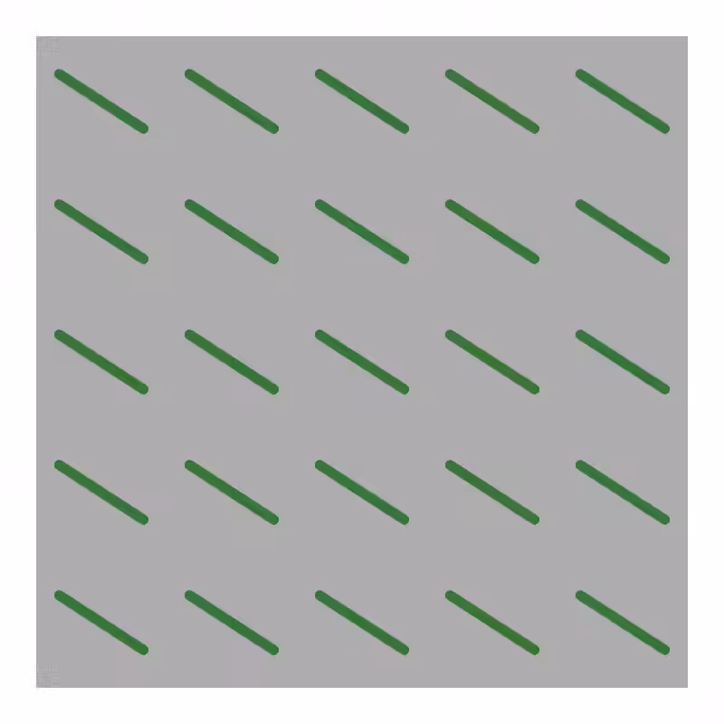 FLATWORLD #259
