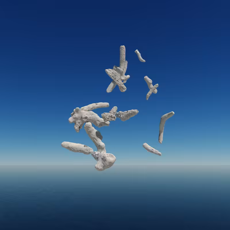 Bone Work (Gulf of Mexico) 2022 #52