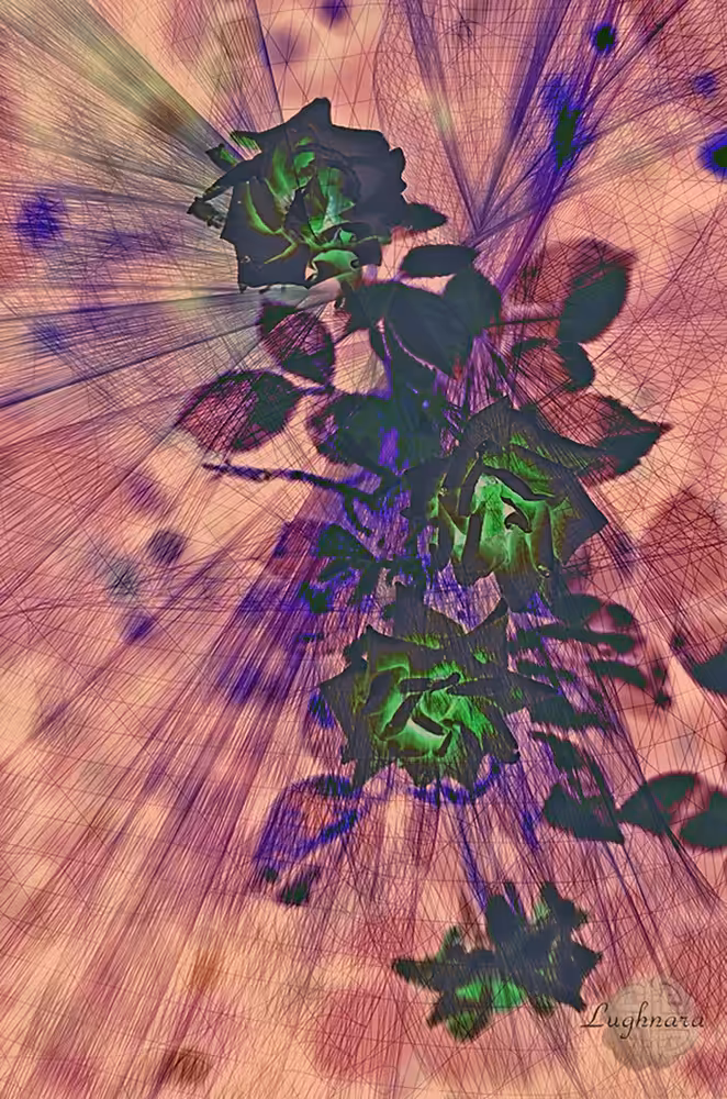 Crypto Roses