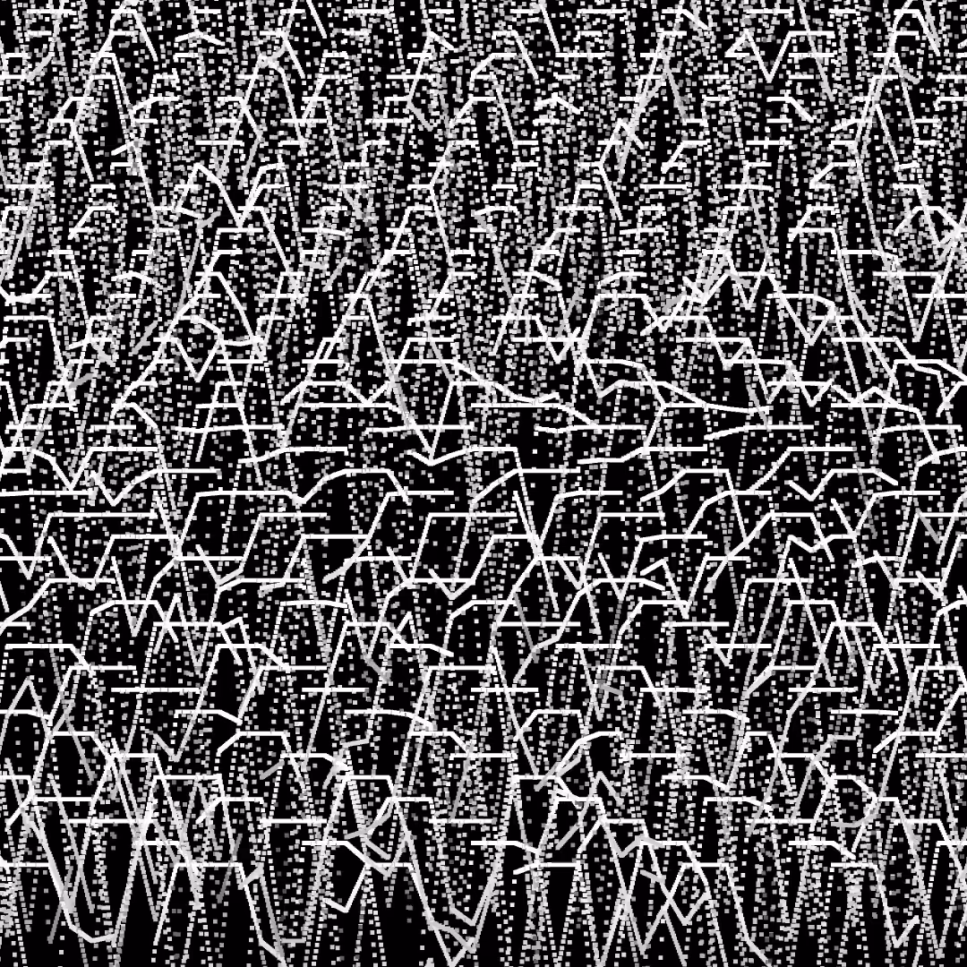 Crowd