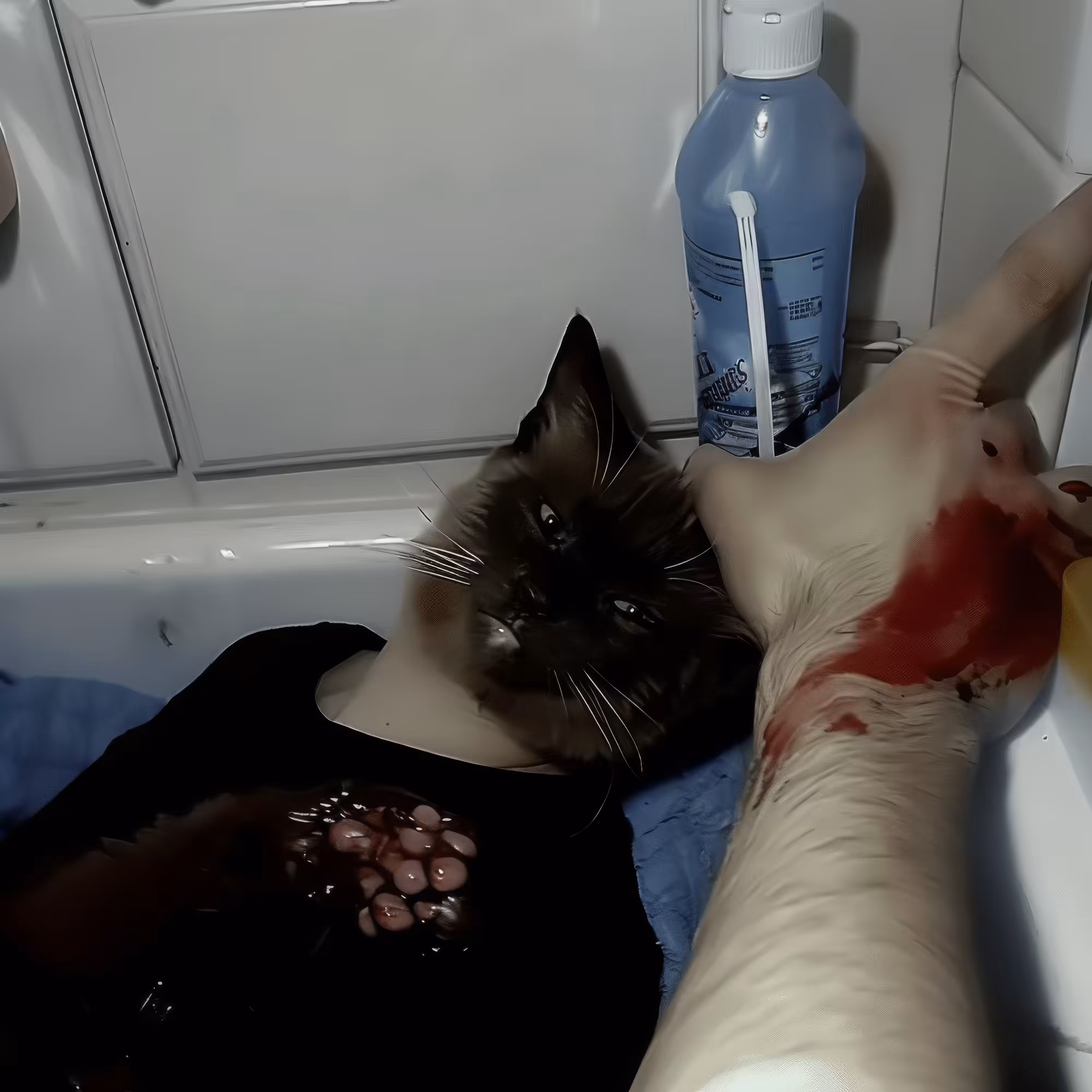 BAD JPEGs: Pass-the-Soap