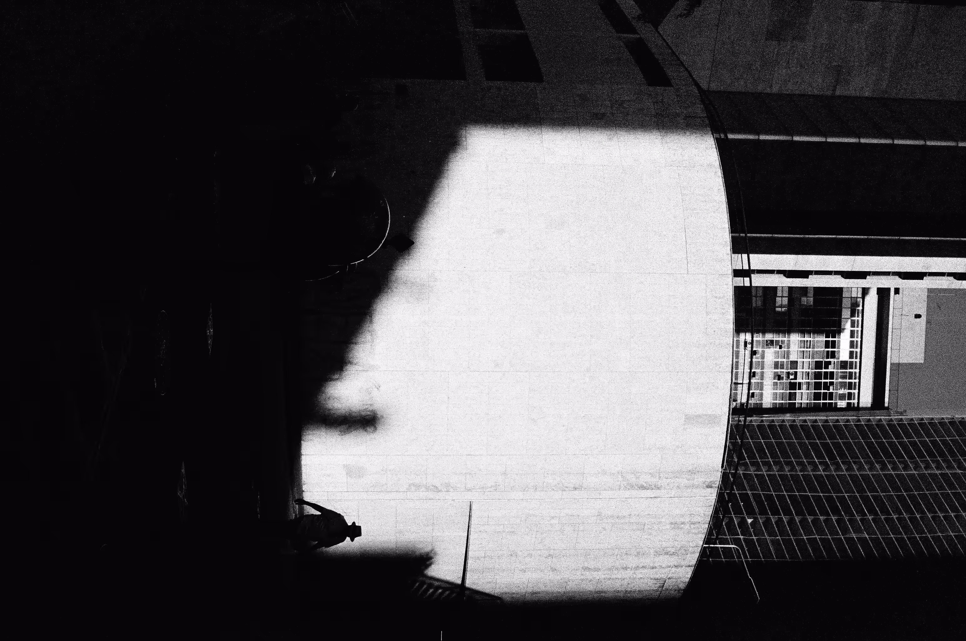 the shadow and the man