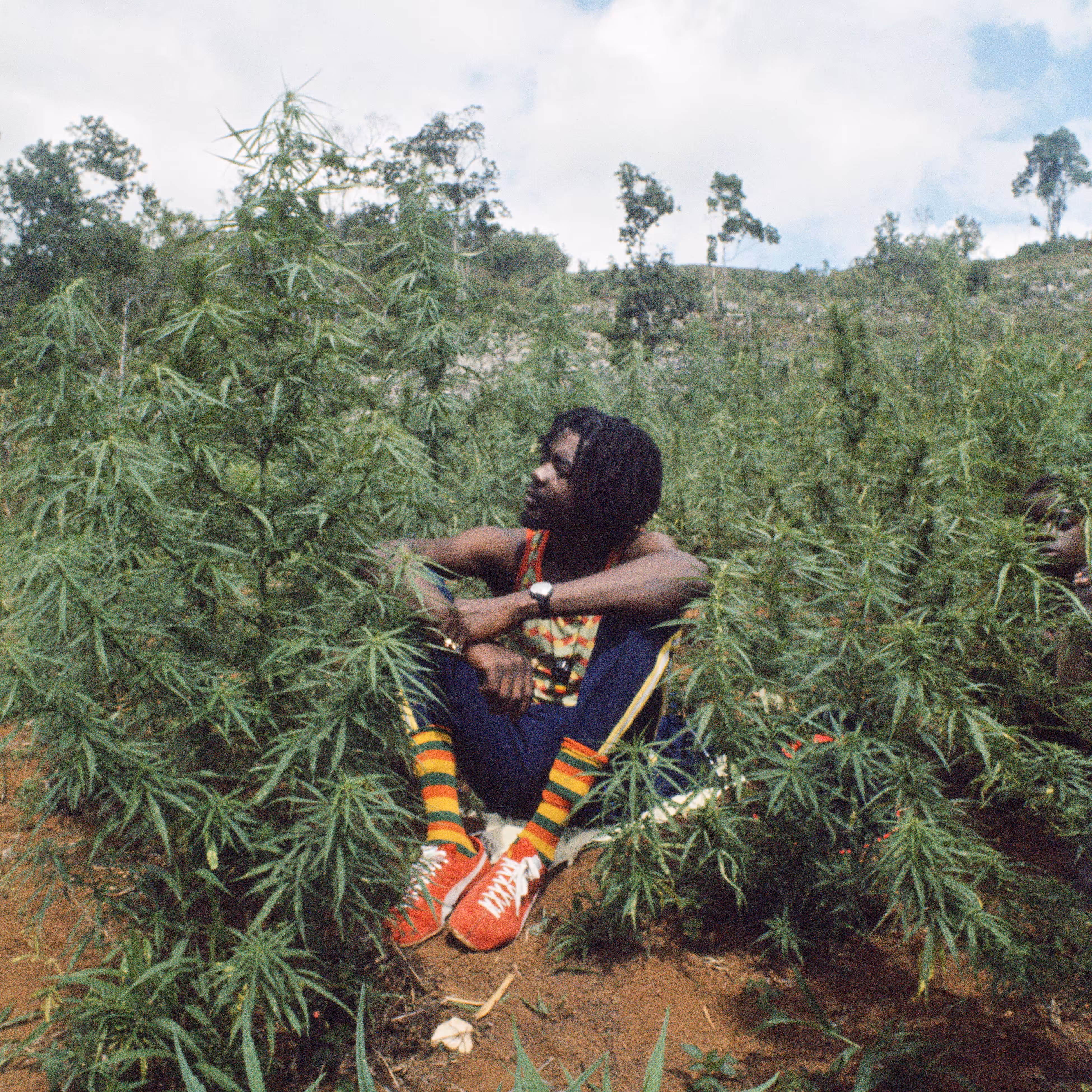 Peter Tosh Legalize It: Westmoreland, Jamaica 1975