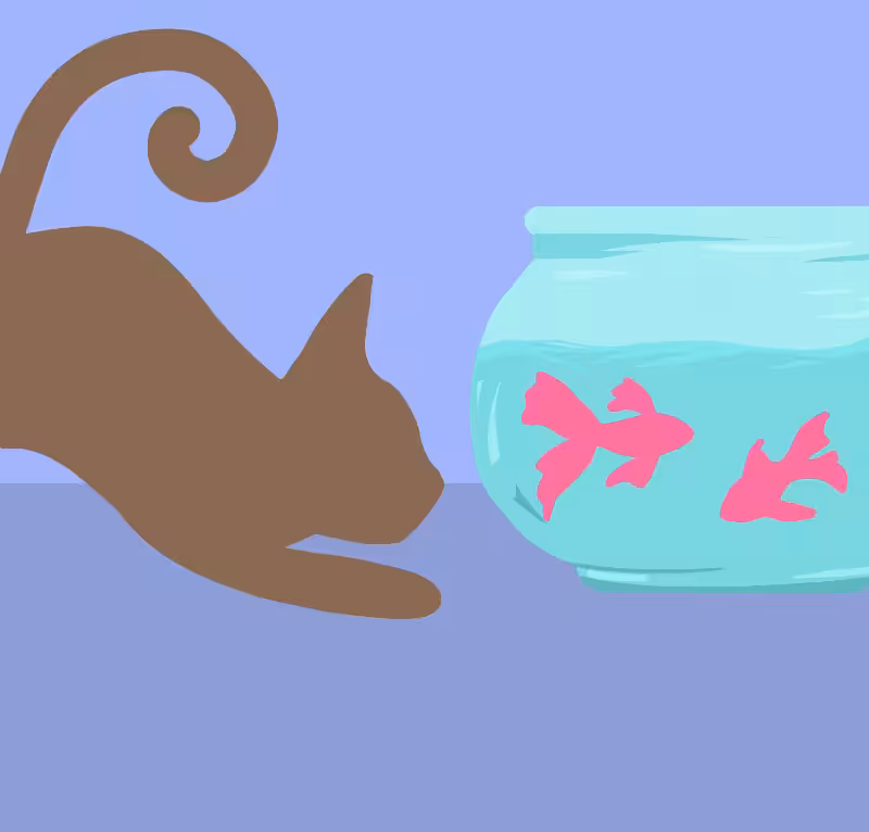 Dance of fish #6