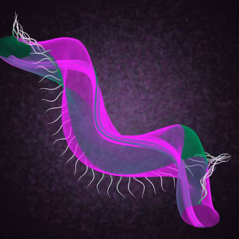 Flimsy #32