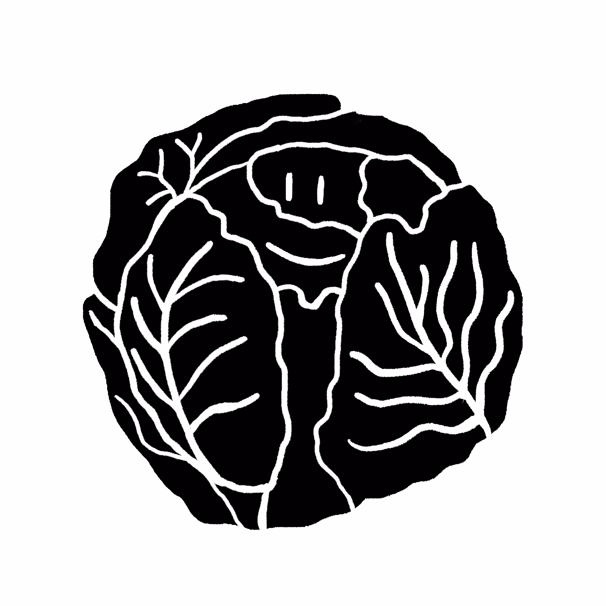 Enormous Cabbage