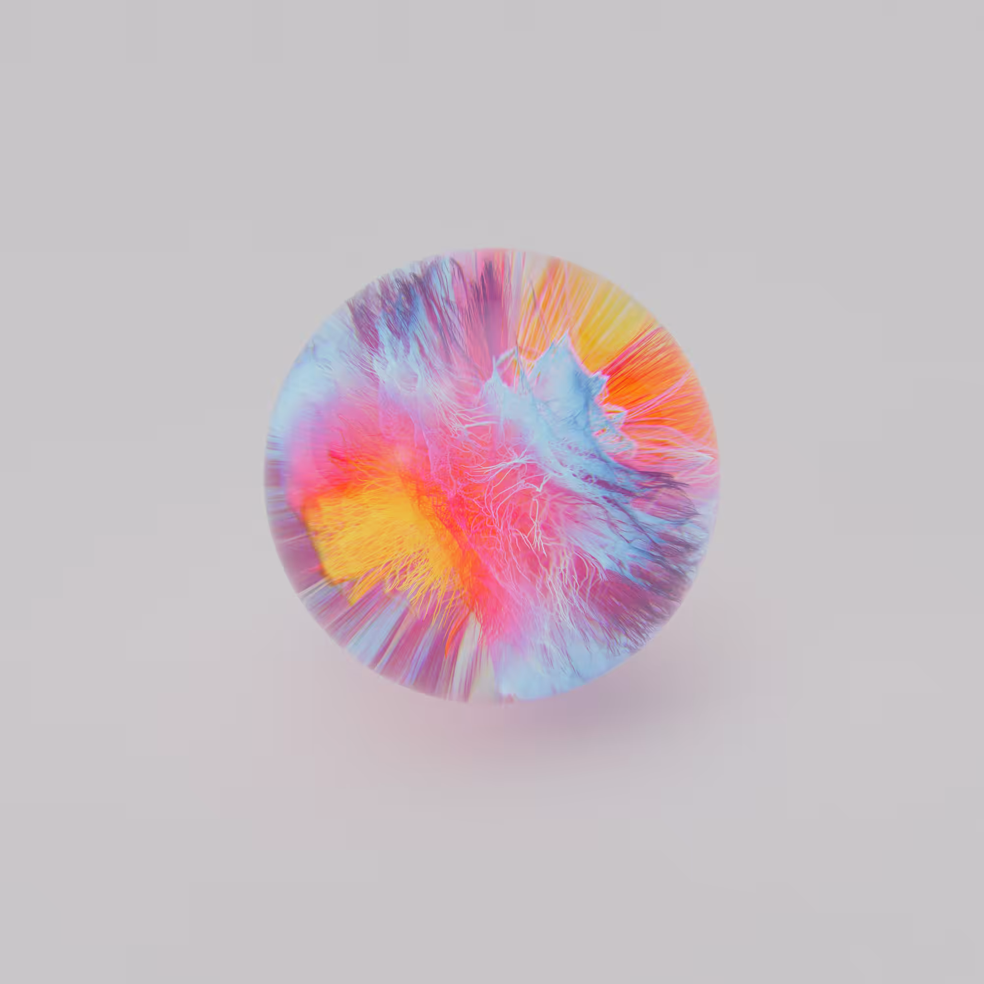 Rhinotillexomania_1x0C