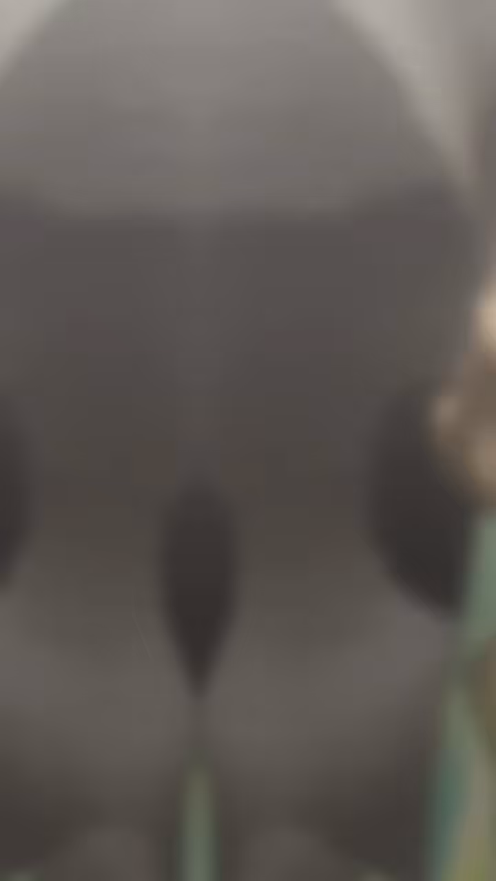 w4RT3r