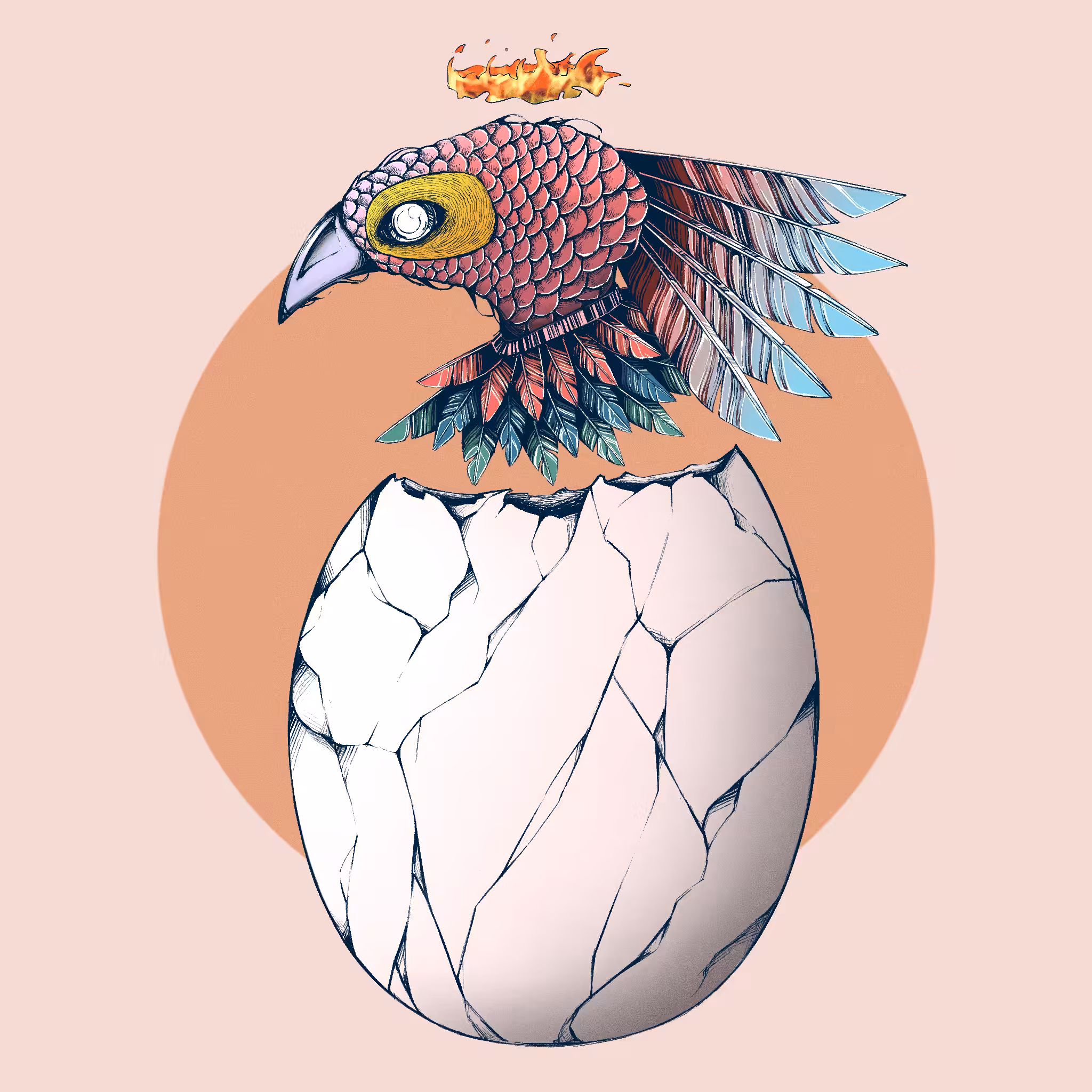 Bird【Red】