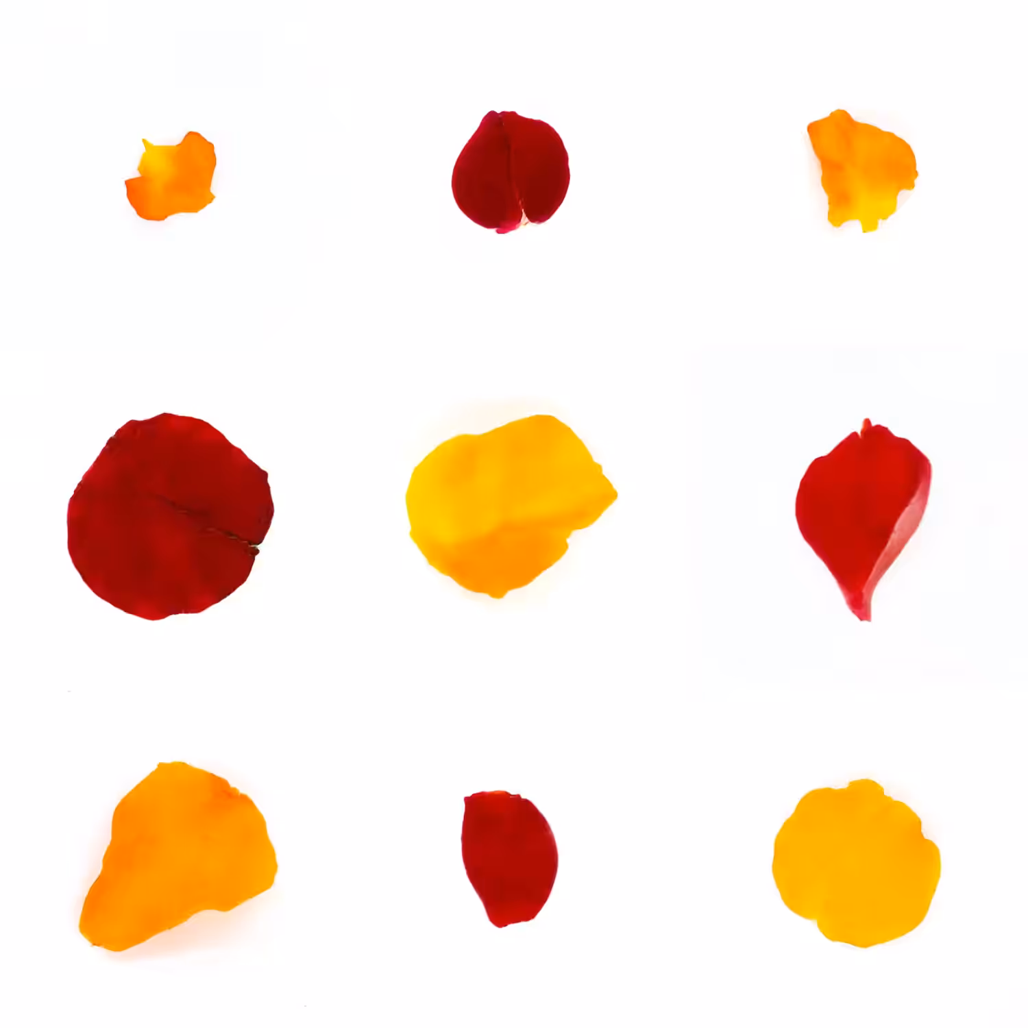 Infinite Petals 3x3#3131