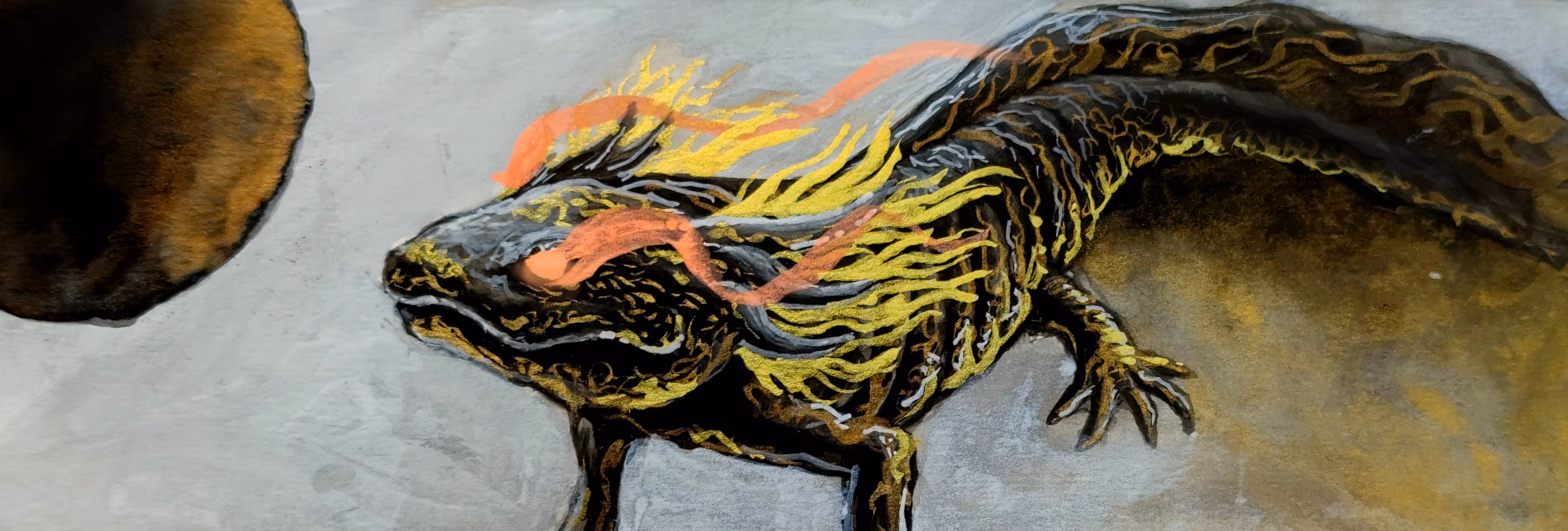 Axolotl Gold & Dark#10