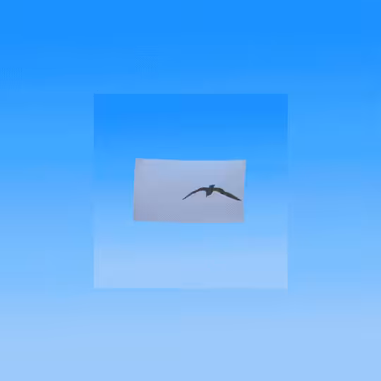 SKYNETREALMDOVEDREAM0.1