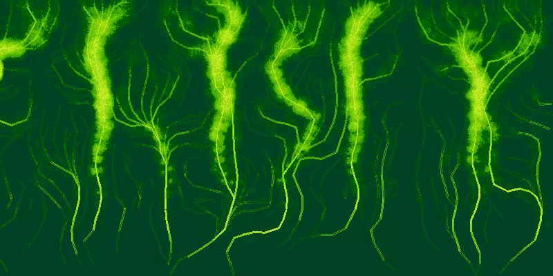 veins #40