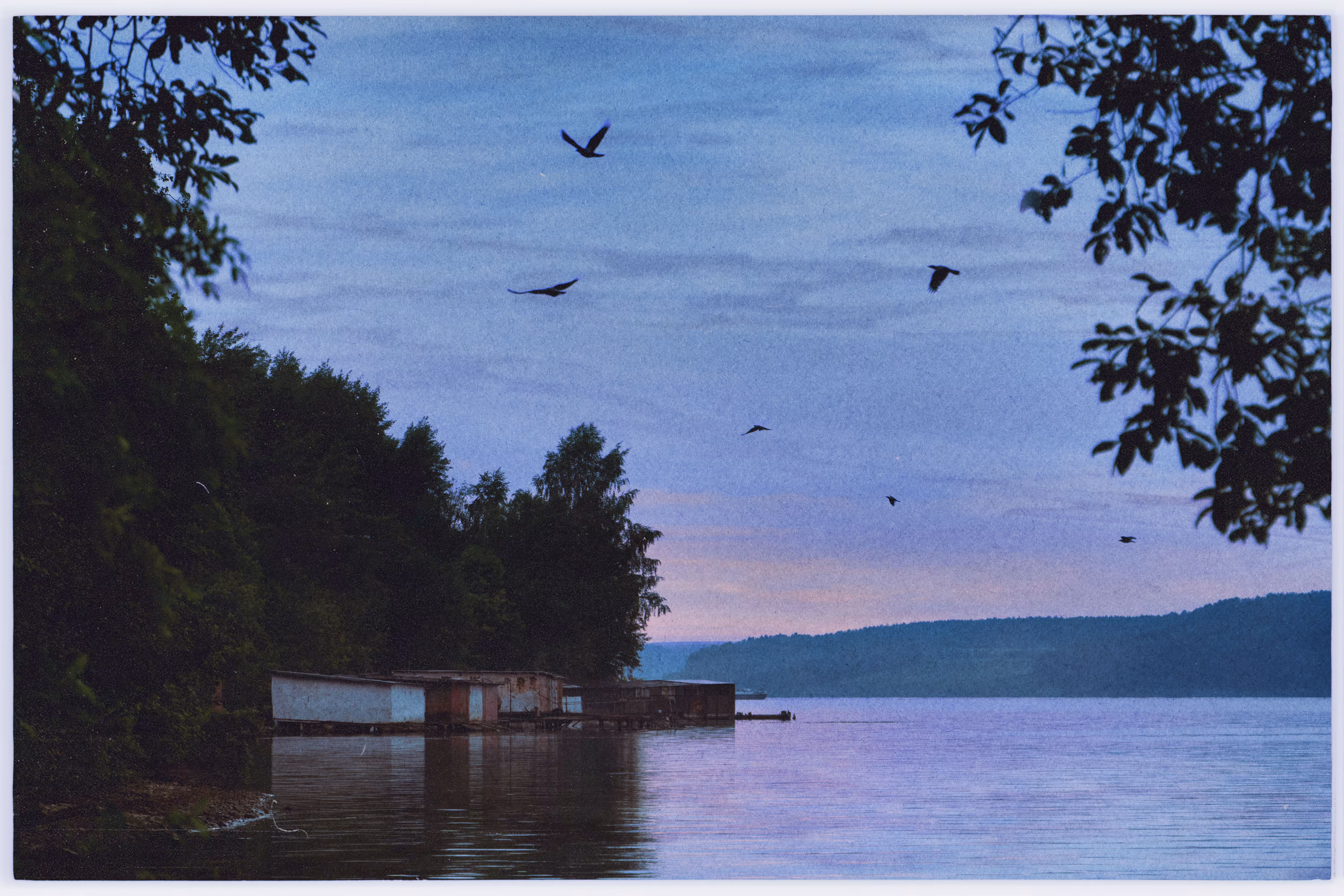 The Birds Herald Twilight