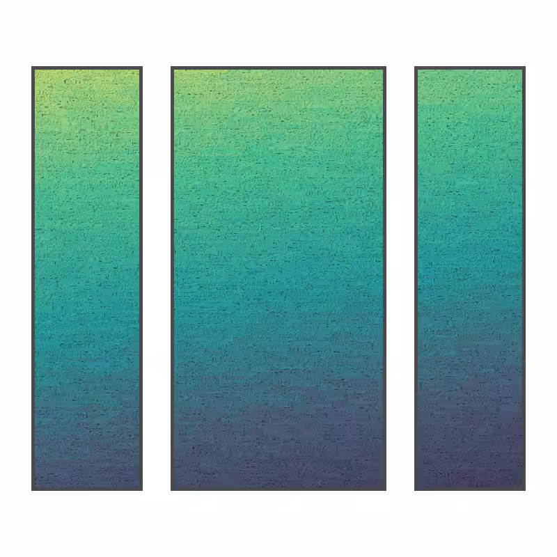 The Surf #17