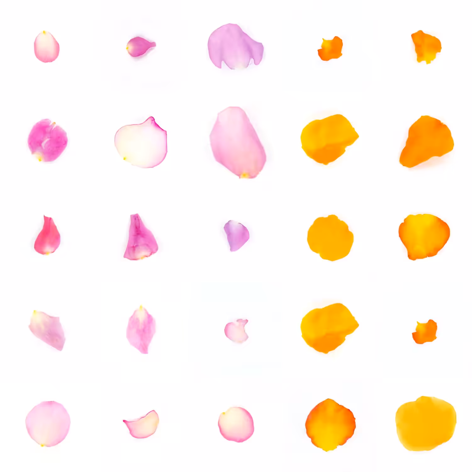 Infinite Petals 5x5#21157