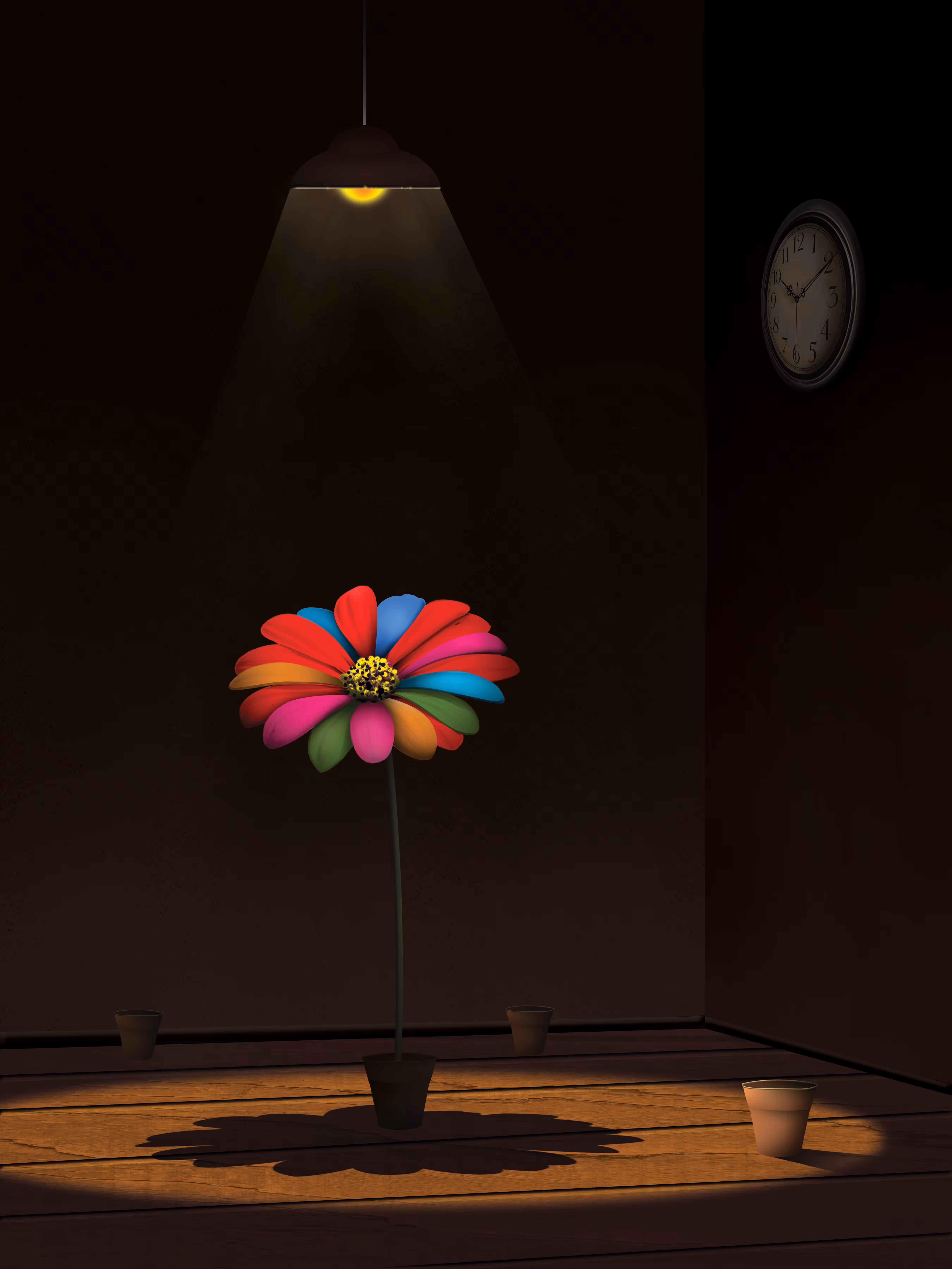 " Colorful Daisy "
