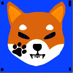 Daquan Shiba Racks Rare