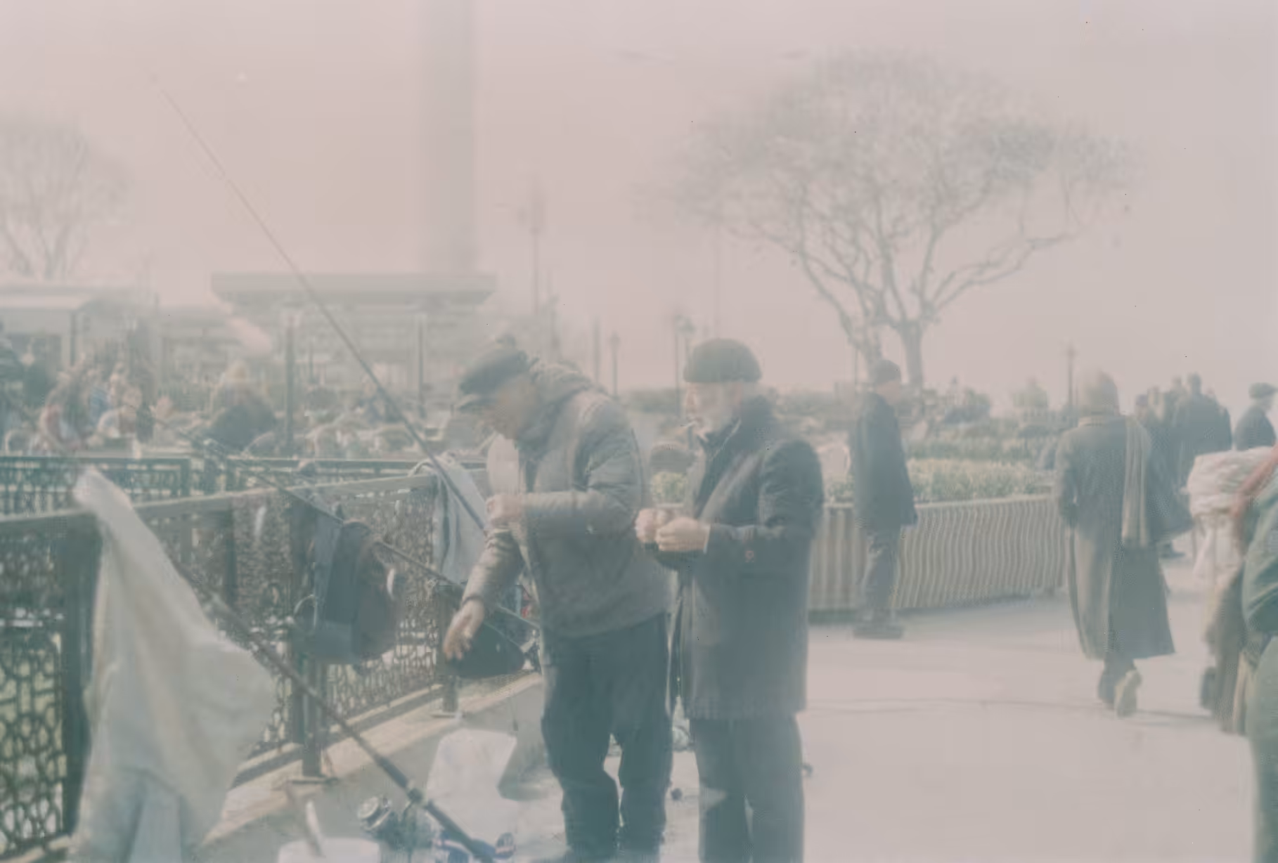 fog