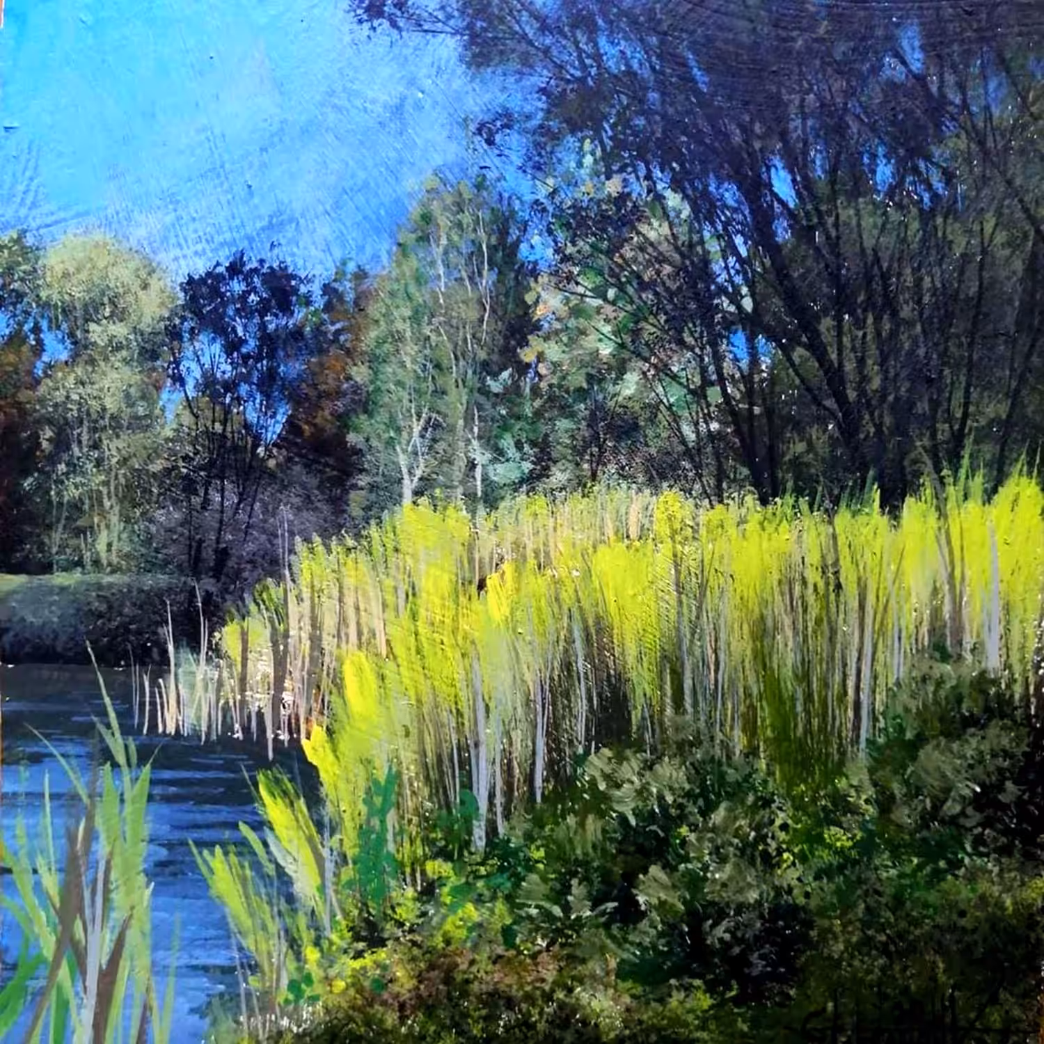 Reeds on the river