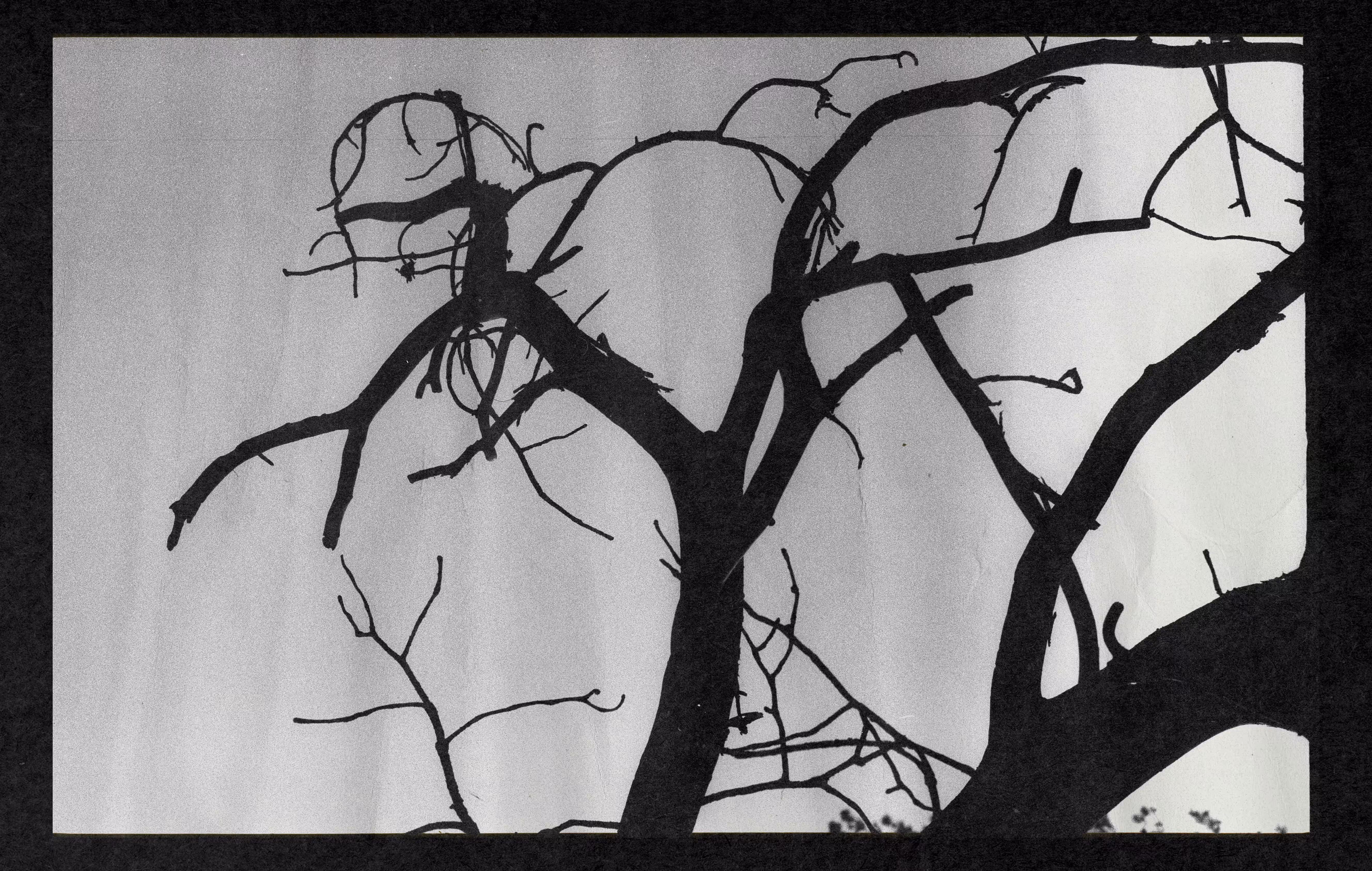 the curves of melancholy 