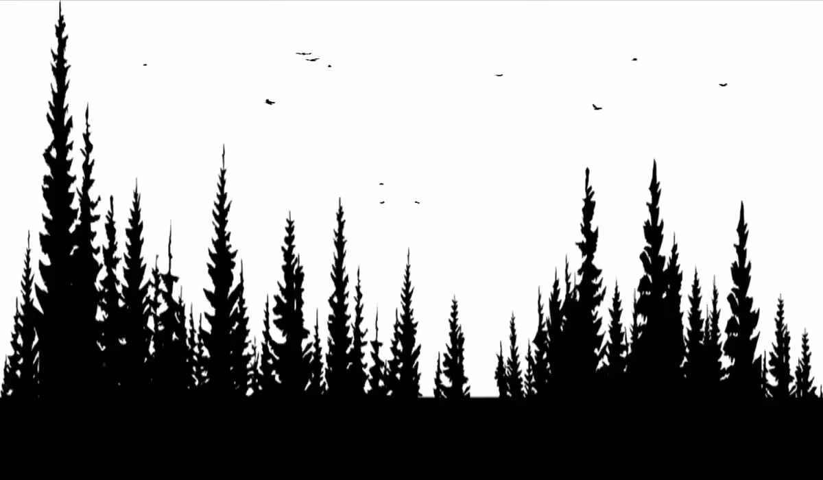 Earth Heart