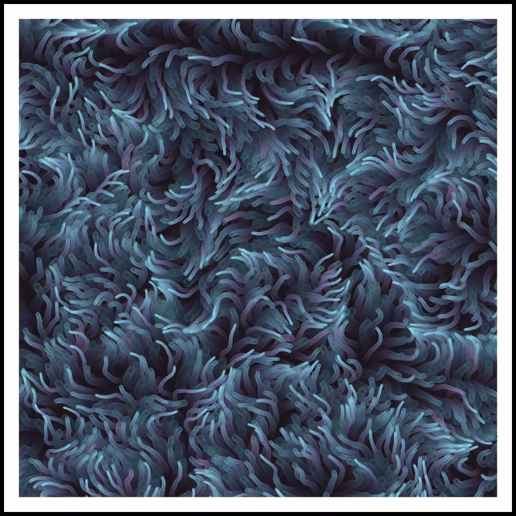 Studies of Motion  #17