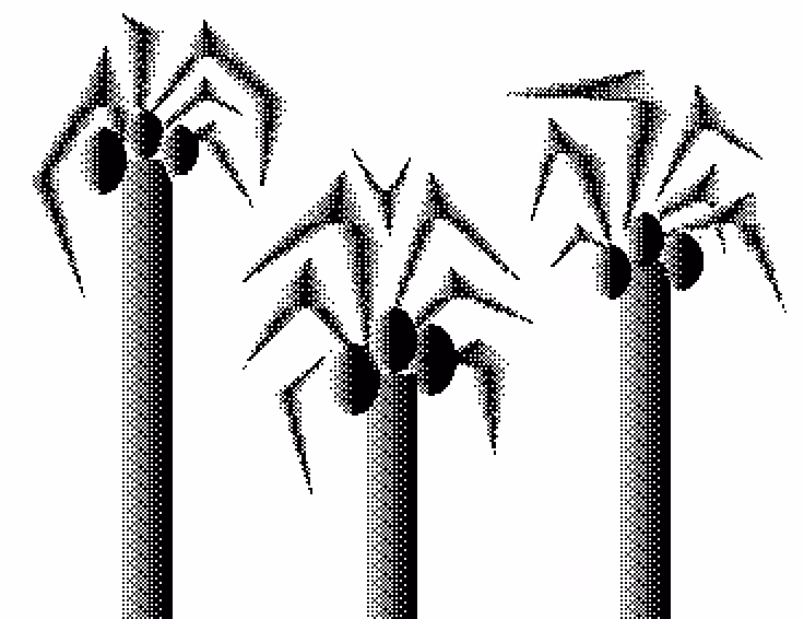 3 palm trees