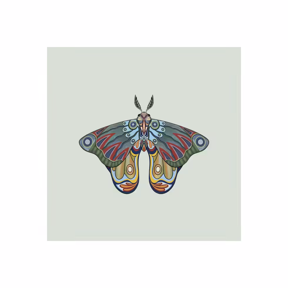 The Moth Experiment #15