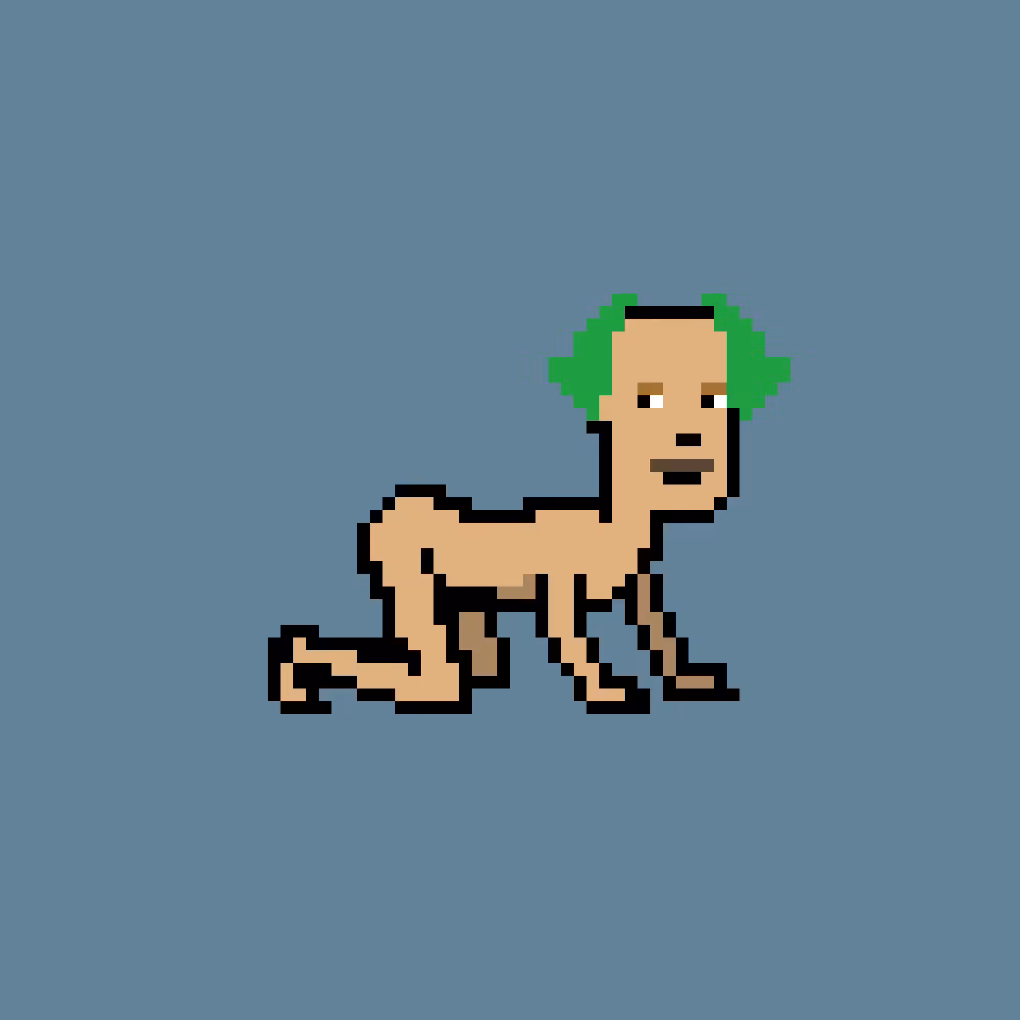 CrawlingPunk #1996